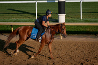 Backside Churchill Downs 2025-06-27-6