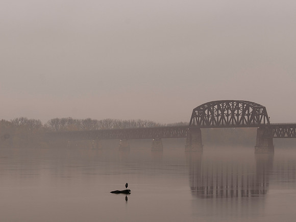 Bird and Bridge
