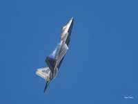 F-22 Raptor (1 of 1)
