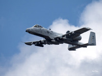 A-10C Warthog (1 of 1)
