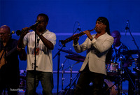 Music Events and Groups