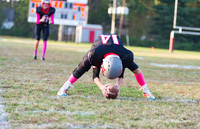 Waggener v Henry County 10-20-17-003