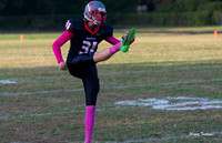 Waggener v Henry County 10-20-17-002