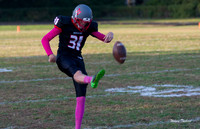 Waggener v Henry County 10-20-17-001