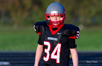 Waggener v Henry County 10-20-17-008