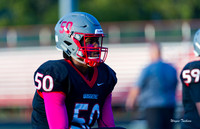Waggener v Henry County 10-20-17-009