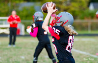 Waggener v Henry County 10-20-17-012