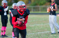 Waggener v Henry County 10-20-17-013
