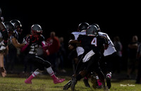 Waggener v Henry County 10-20-17-017