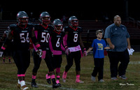 Waggener v Henry County 10-20-17-018