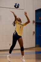 Volleyball 20230914 Varsity Shawnee v Brown-10