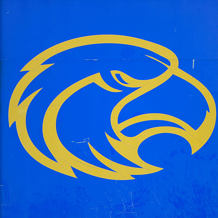 Shawnee Eagle