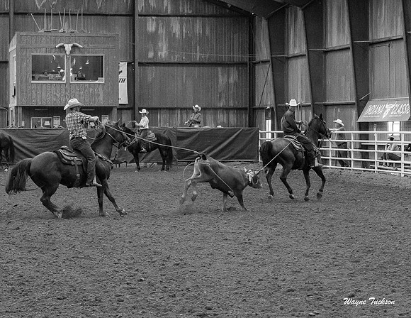 Indiana Rodeo-001