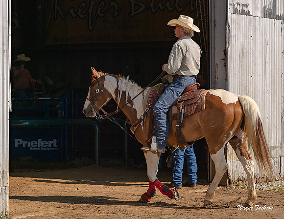 Indiana Rodeo-011