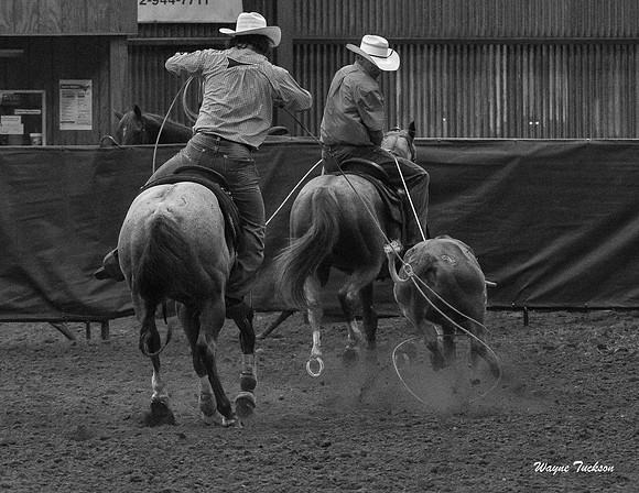 Indiana Rodeo-012