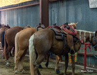 Indiana Rodeo-017