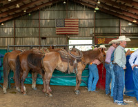 Indiana Rodeo-023
