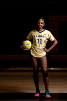 #11 Senior VB players 2023