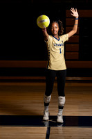 #1 Senior VB players 2023-2