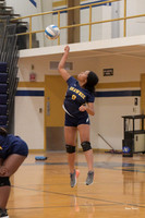 Vollyball Shawnee v Western 20211006--4