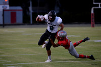 Waggener v North Oldham-33