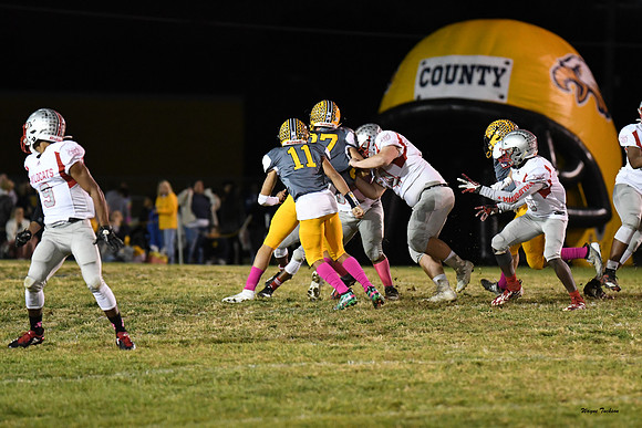 Waggener v Franklin Co 20191018-19