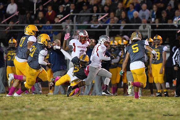 Waggener v Franklin Co 20191018-27