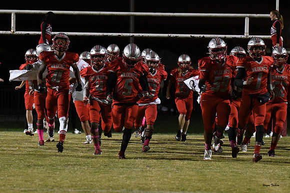 Waggener v Shelby County 10-25-19-11