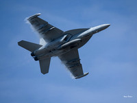E-F18G Growler (1 of 1)