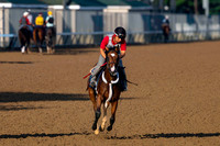 Backside Churchill Downs 2025-06-27-4