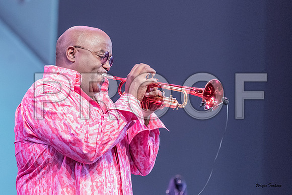 DCJF 2019 Joey Sommerville-2683
