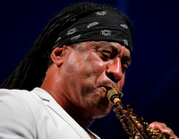 Marion Meadows 2017 3
