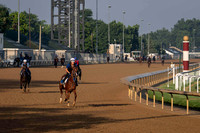 Backside Churchill Downs 2025-06-27-8