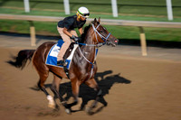 Backside Churchill Downs 2025-06-27-7
