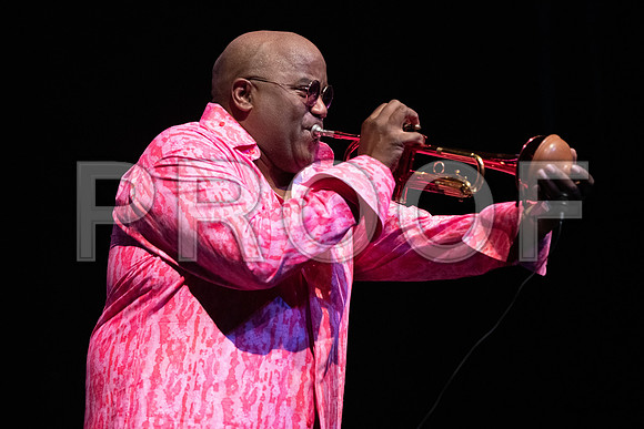 DCJF 2019 Joey Sommerville-306