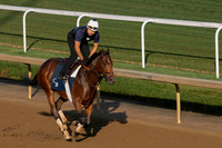 Backside Churchill Downs 2025-06-27-5