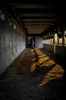 Backside Churchill Downs 2025-06-27-2