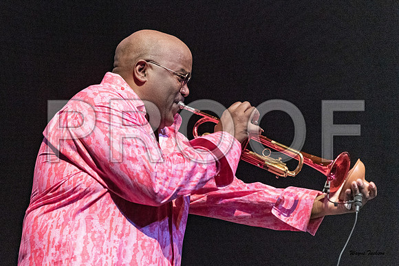 DCJF 2019 Joey Sommerville-304