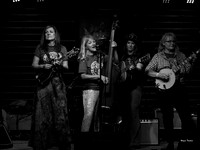 Coaltown Dixie (13 of 66)